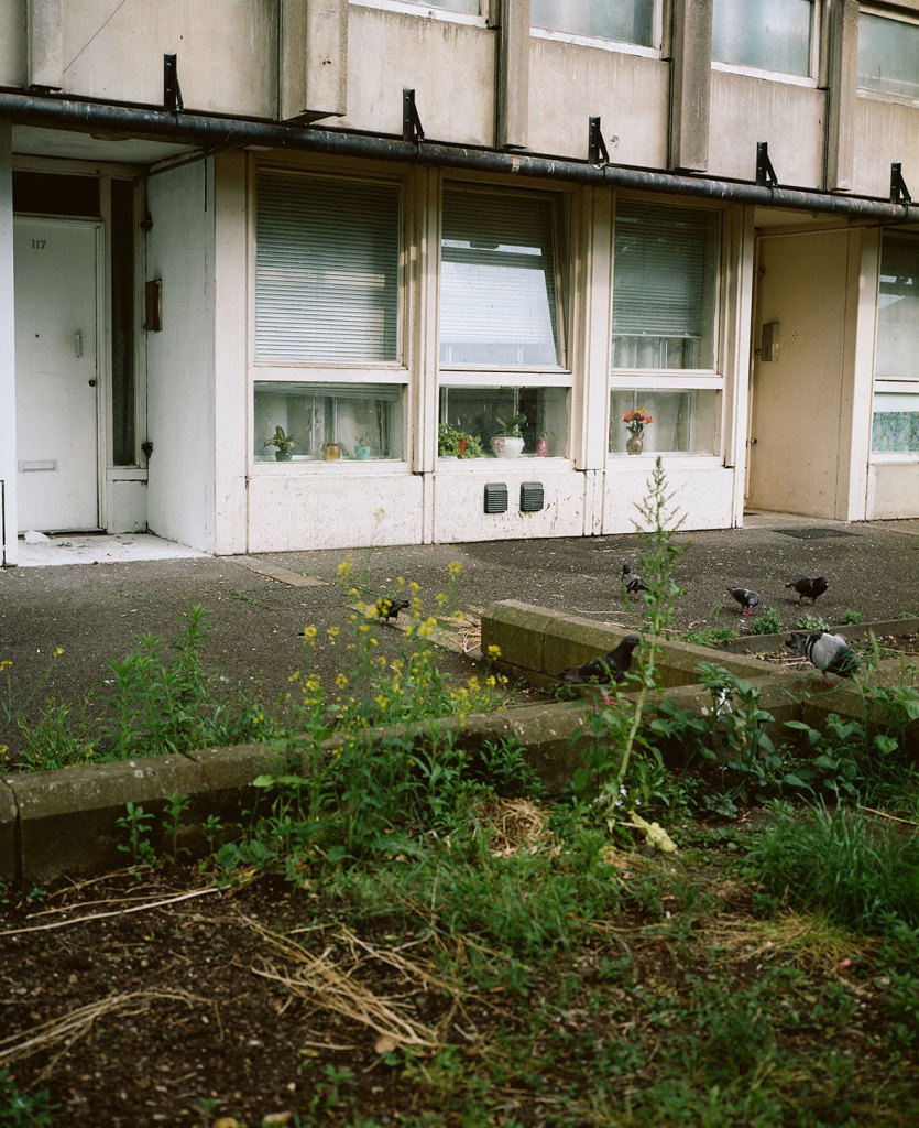 robin_hood_gardens1