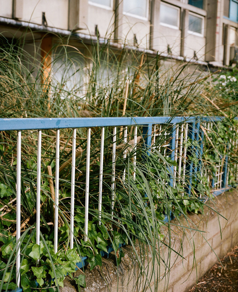 robin_hood_gardens2