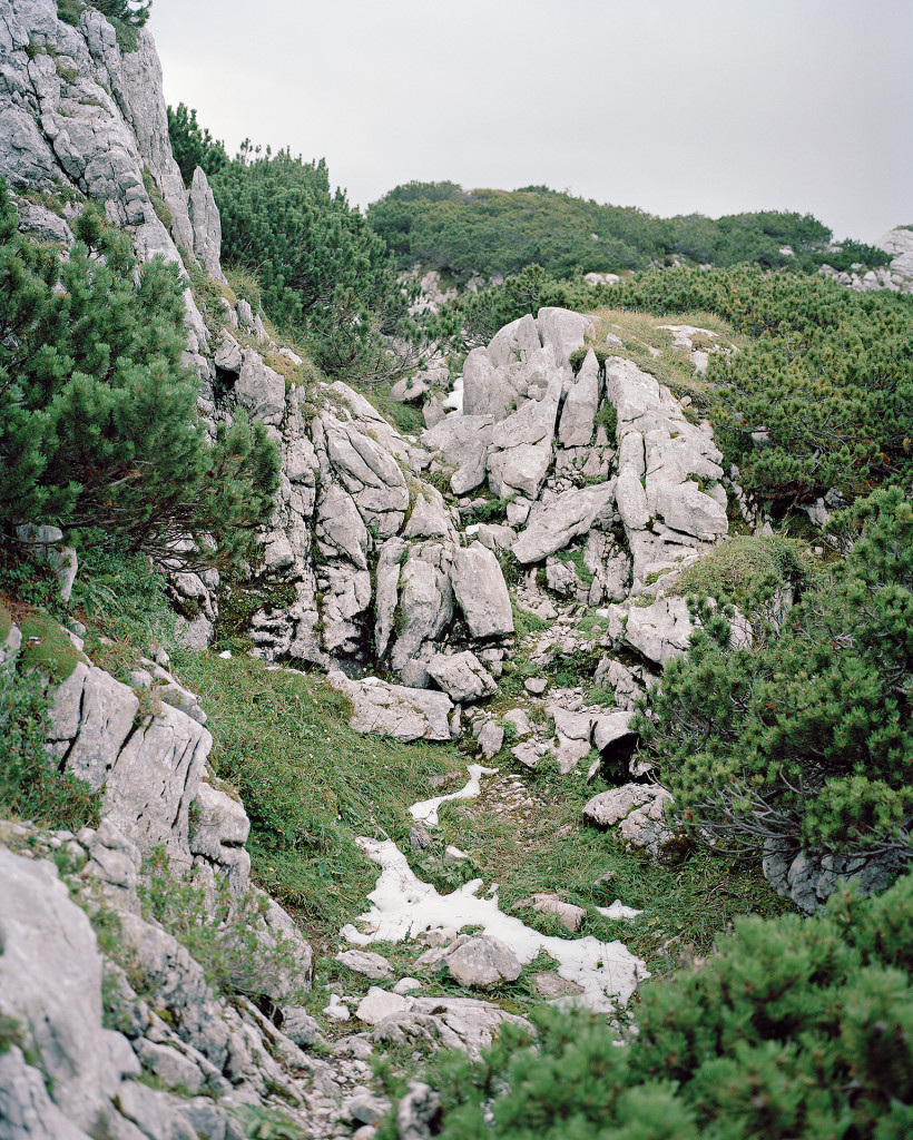 Roellsattel