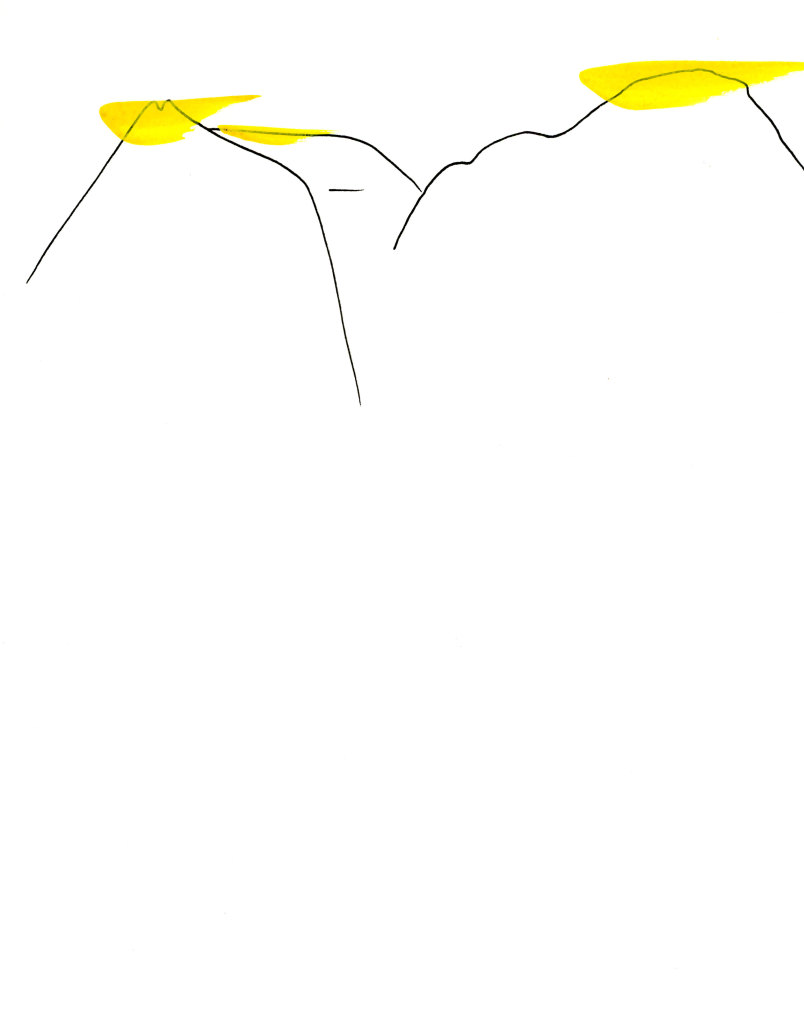 tg_ny001